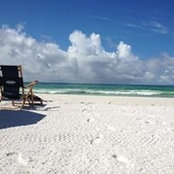 Foto von Michelle D'Amico