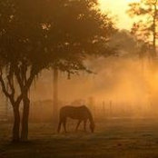Lisa Leberth-Yow's photo