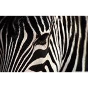 Nam Mai Duc's photo