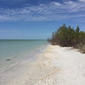 Fran Rozansky's photo