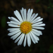 Foto de Fran ContPer