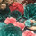patricia_neal7