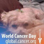 Marianne Drossos's photo