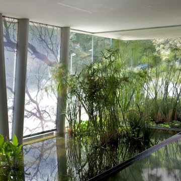 Tamarindos Pent House