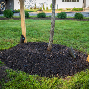 Front Yard Landscaping Design, Walkway and Lighting