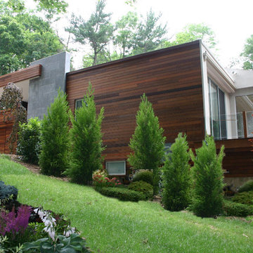 Iron Woods(R) Ipe Rain Screen Contemporary