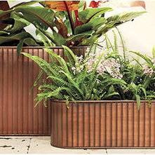 Traditional Outdoor Pots And Planters by Ballard Designs