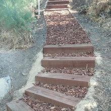 Hillside steps