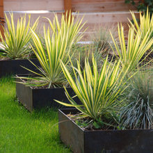 Garden ideas