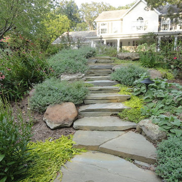 Landscape & Hardscape