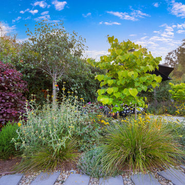 Pasadena Outdoor Living Upgrade with BBQ, Steps & Lighting
