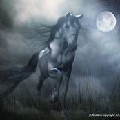 Tony Diekman's photo
