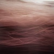 Victoria Bender's photo