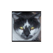 Cassandra VanSyckle's photo