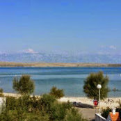 Ines Ocepek Koprivc's photo