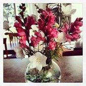 Paula Burns Deering's photo