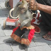 Alfa Tadi's photo