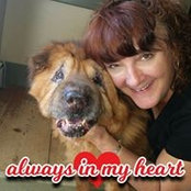 Theresa Dube's photo