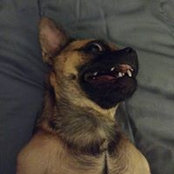Robert Reed's photo