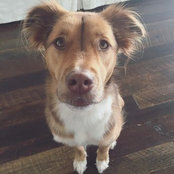 Callie Miller's photo