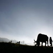 Foto von Nguyen Nam
