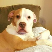 Candice Miller's photo
