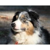 Michele Ford's photo
