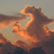 Denise Misaras's photo