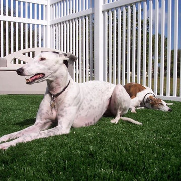 Residential Lawn