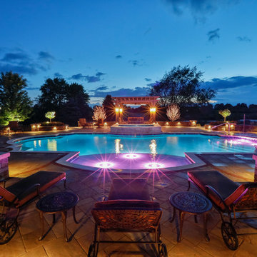 Elgin, IL Roman End Pool with Freeform Hot Tub