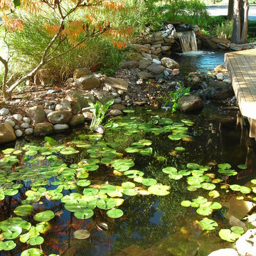 Water Features