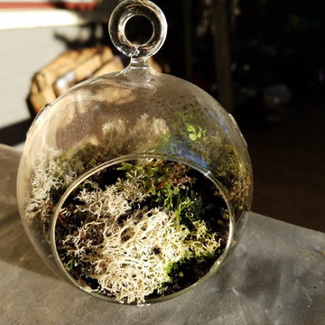 Container Gardens