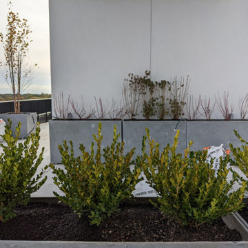 Rooftop installation overlooking Prospect Park, Brooklyn NY