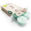 Iced Mint Lavender Tealight Candles 6-Pack