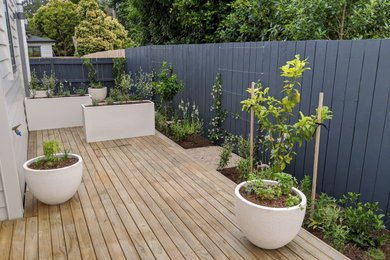 Inspiration for a small modern backyard partial sun garden for summer in Auckland with with flowerbed.