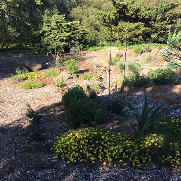 Watershed Approach Project