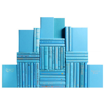 Modern Sky Blue Book Wall, Set of 50