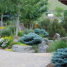 grilling area