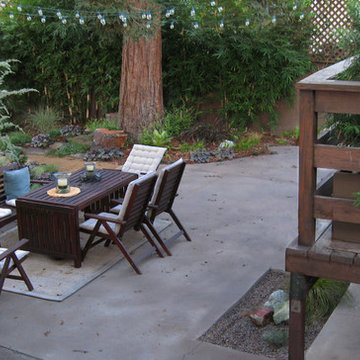 Woodland Garden- Los Feliz