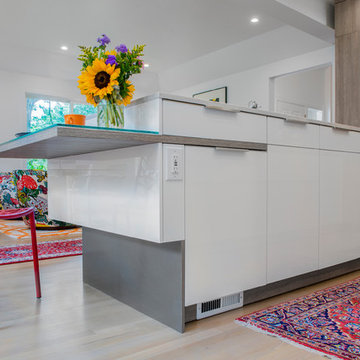 Modern modes in an eclectic Brookline, MA abode