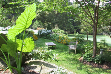 Design ideas for a huge traditional partial sun backyard landscaping in DC Metro for summer.