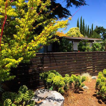 Master Suite Privacy: A Front Yard Transformed
