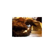 Marianne Bernard's photo