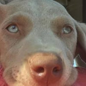 Sandra Fifer's photo