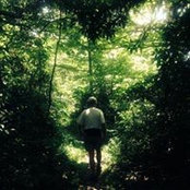 Melody Schell's photo