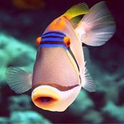 Svetlana Prislonova's photo
