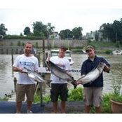 Andrew Flood's photo