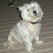 Helen Mcgarry's photo