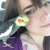 Lily Swan's photo