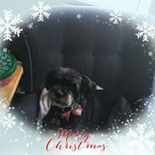 Beth Wallace Corley's photo
